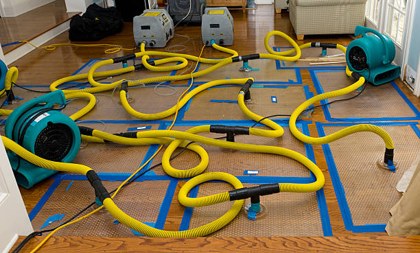 Professional Crawl Space Water Removal technician working in New Holstein, WI